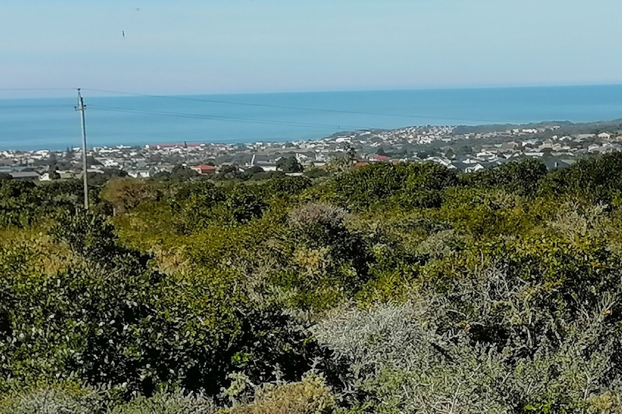 4 Bedroom Property for Sale in Stilbaai Wes Western Cape